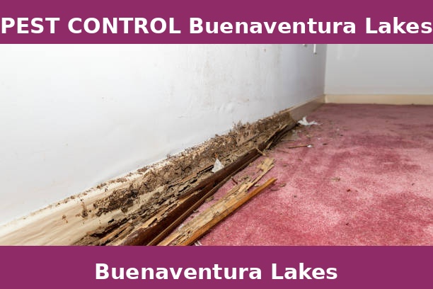 PEST CONTROL Buenaventura Lakes